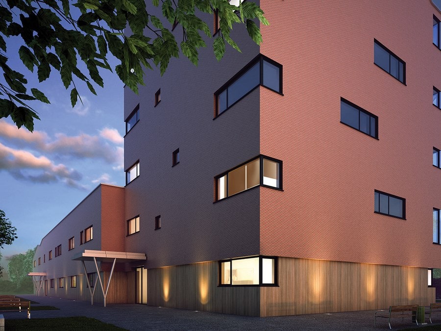 Фото Клинкерная плитка под кирпич King Klinker Dream House 19 Ruby flame RF10, 250*65*10 мм