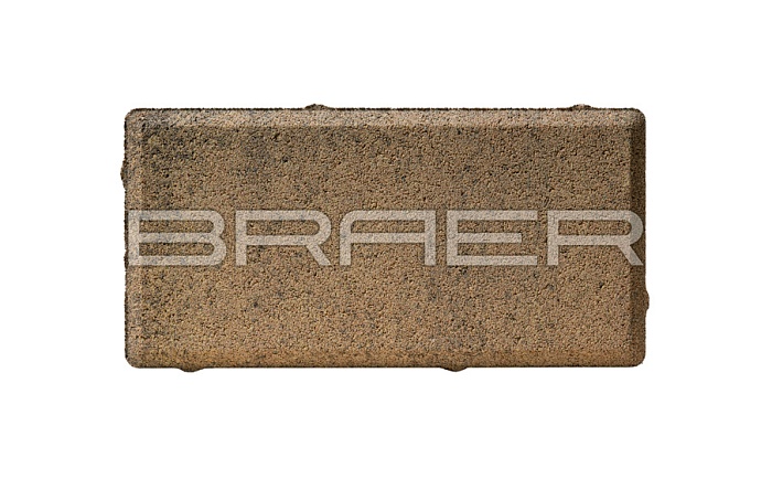 Фото Плитка тротуарная BRAER Прямоугольник Color Mix Прайд, 200*100*60 мм