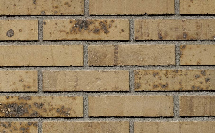 Фото Кирпич облицовочный Terca Putty Multi Gesinterd 210*100*50 мм