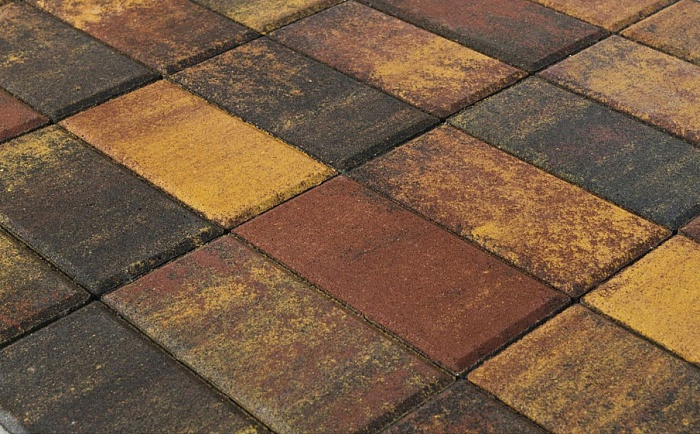 Фото Плитка тротуарная BRAER Прямоугольник Color Mix Мальва, 200*100*40 мм