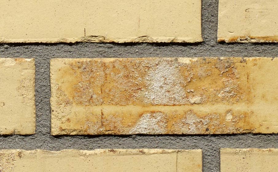 Фото Кирпич облицовочный Terca Sussex Multi Gesinterd 210*100*50 мм
