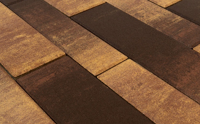 Фото Плитка тротуарная BRAER Домино Color Mix Сафари, 120/160*60 мм