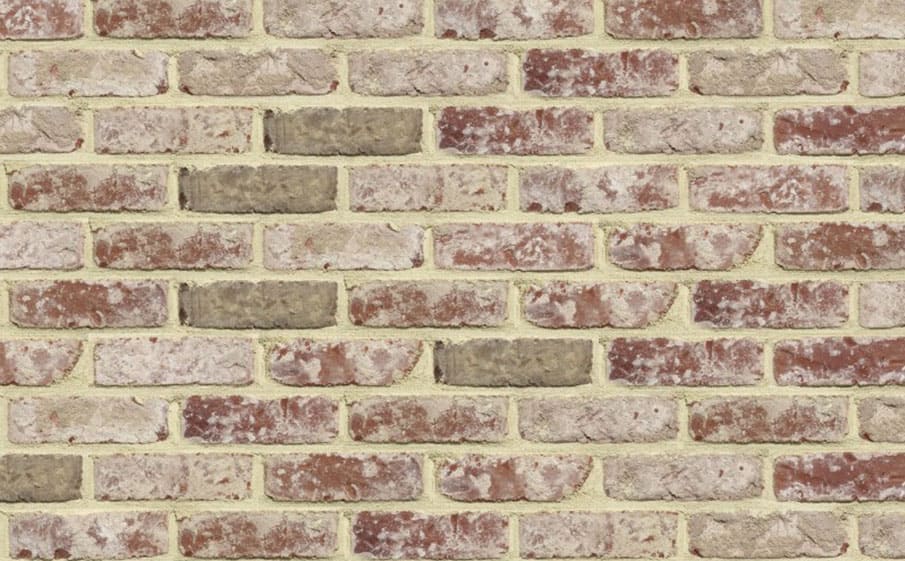 Фото Кирпич облицовочный Terca Oud Nieuwpoort, 215*102*65 мм