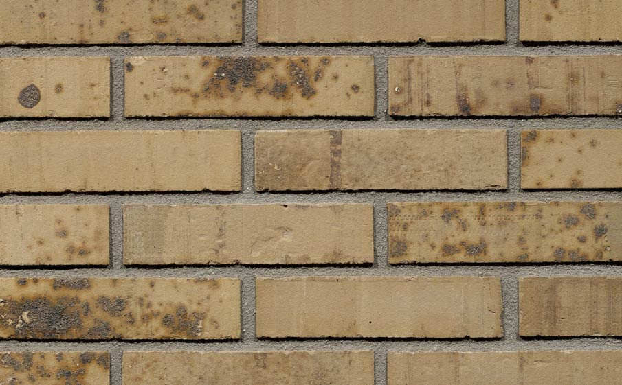 Фото Кирпич облицовочный Terca Putty Multi Gesinterd 210*100*50 мм