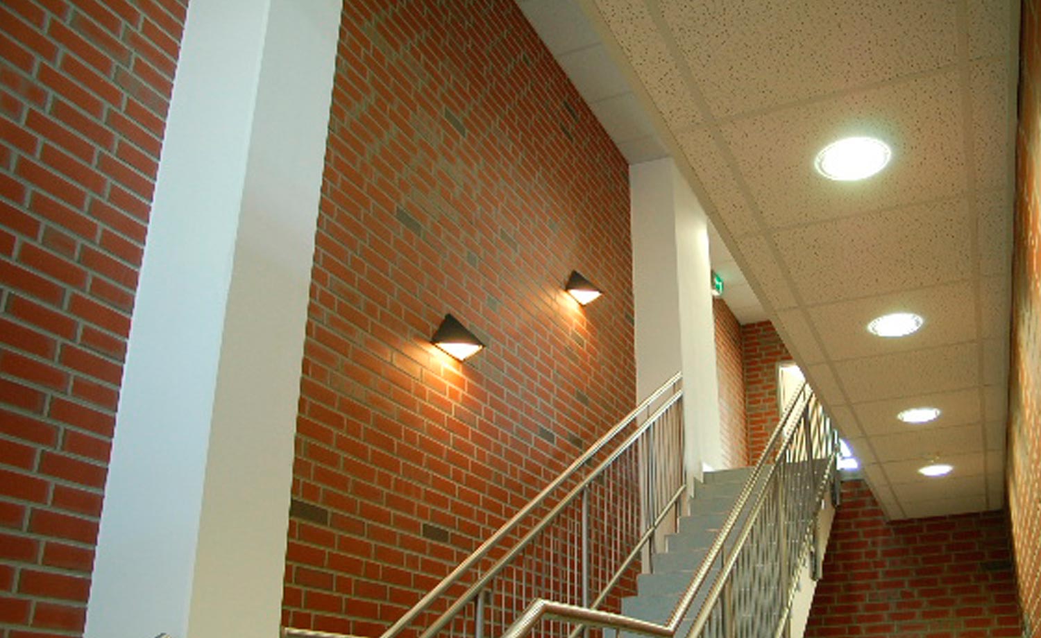 Фото Клинкерная плитка под кирпич Feldhaus Klinker NF 9 R303 ardor liso 240*71*9 мм