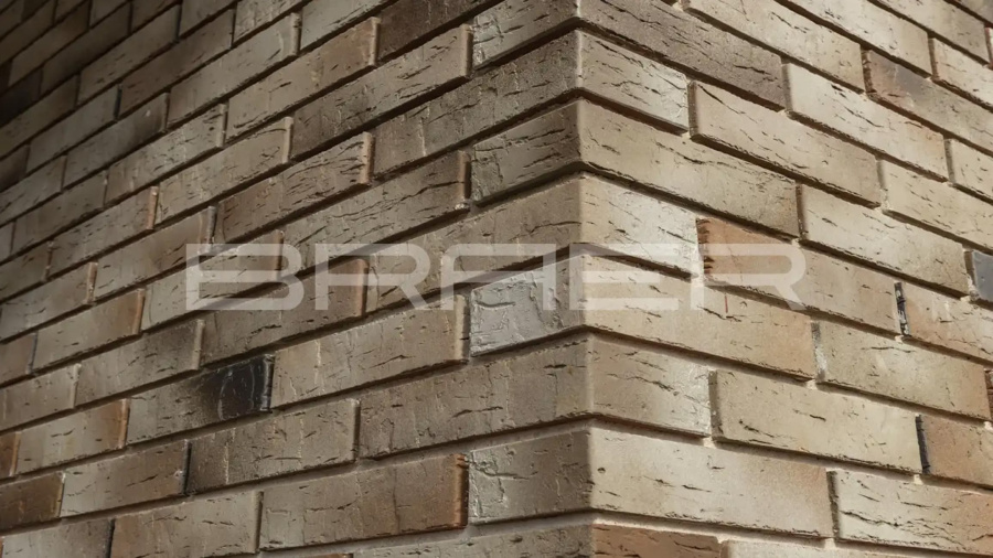 Фото Кирпич BRAER PRO 14.04.1, 250*120*65 мм