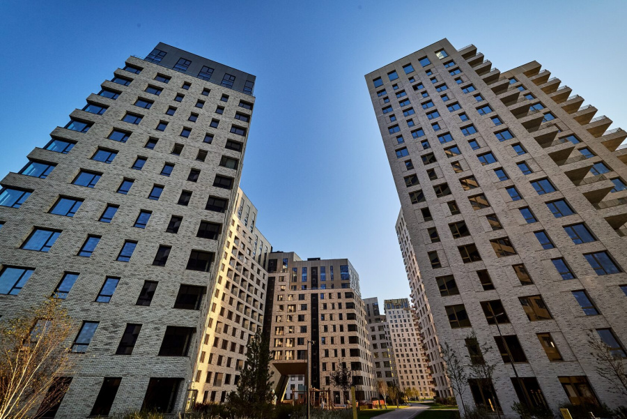 Фото Плитка модульная Борисовские Мануфактуры Брик Амараж, 484*174*28 мм