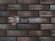Фото Кирпич BRAER PRO 10.11, 250*120*65 мм