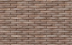 Фото Кирпич облицовочный Terca Tolus Tan Grijs, 238*90*40 мм