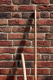 Фото Плитка Muhr Nr 13 Friesland (Regal blend) 210*65*22-25 мм