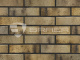 Фото Кирпич BRAER PRO 3.03, 250*120*65 мм
