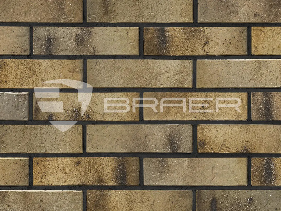 Фото Кирпич BRAER PRO 3.03, 250*120*65 мм