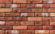 Фото Декоративный кирпич Leonardo Stone Прованс 250*70*15 мм 490