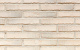 Фото Кирпич облицовочный Terca Metropolis Dover Wit, 240*65*40 мм