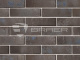 Фото Кирпич BRAER PRO 9.03, 250*120*65 мм