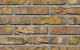 Фото Кирпич облицовочный Terca Roombeek 210*100*50 мм