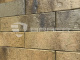 Фото Кирпич BRAER PRO 3.03, 250*120*65 мм