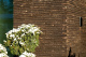 Фото Кирпич ригельный Тандем Черкасск, 485*85*40 мм