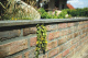 Фото Кирпич облицовочный Terca Veldbrand Exterieur, 208*98*63 мм