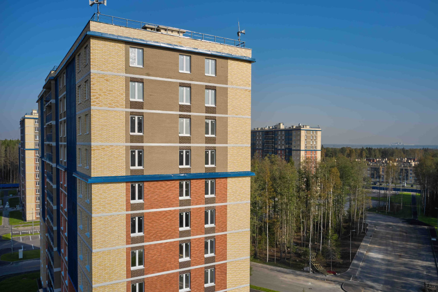 Фото Облицовочный кирпич керамический ЛСР пустотелый, пшеничный, гладкий, 250*120*65 мм