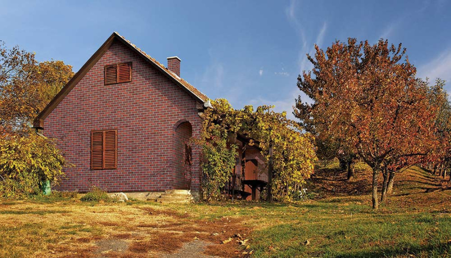 Фото Клинкерная плитка под кирпич King Klinker Old Castle Aria Rustica HF21, 240*71*10 мм