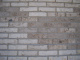 Фото Кирпич облицовочный Terca Birchwood 240*90*40 мм