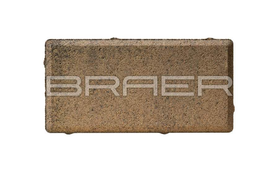 Фото Плитка тротуарная BRAER Прямоугольник Color Mix Прайд, 200*100*60 мм