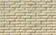 Фото Декоративный кирпич White Hills Тилл цвет 455-10, 25*6,25 см
