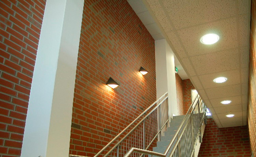 Фото Клинкерная плитка под кирпич Feldhaus Klinker NF 9 R303 ardor liso 240*71*9 мм