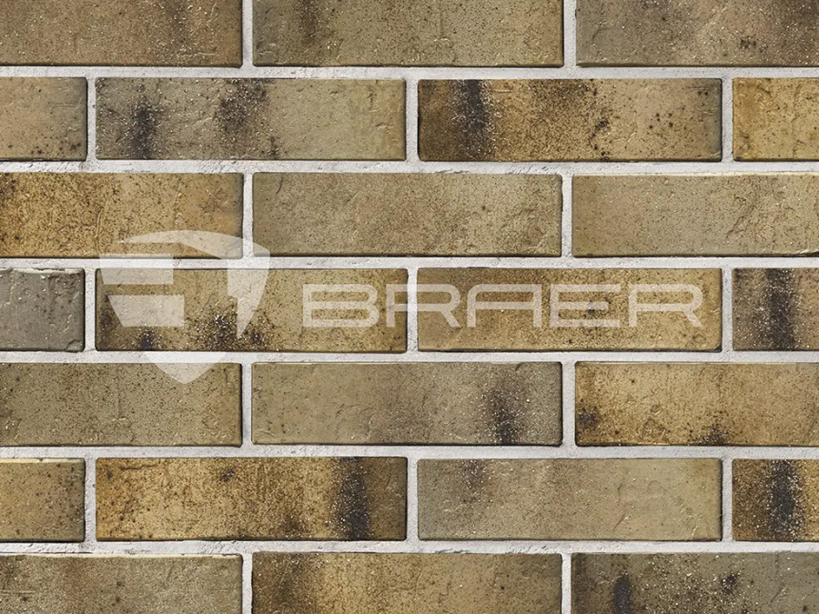 Фото Кирпич BRAER PRO 3.03, 250*120*65 мм