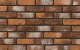 Фото Декоративный кирпич Leonardo Stone Орли 215*65*10 мм 485