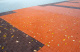 Фото Клинкерная брусчатка Penter Baltic Klinker Pavers Braun, 200*100*52 мм